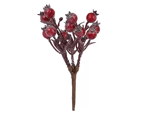 Гілка декоративна Yes Fun з червоними ягодами 17см зацукрована (973953)