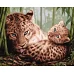 Картина по номерам Нежность Леопарды ©Сергей Лобач Идейка 40х50 (KHO4356)