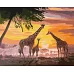 Картина за номерами Сім'я жирафів ©ArtAlekhina Ідейка 40х50 (KHO4353)