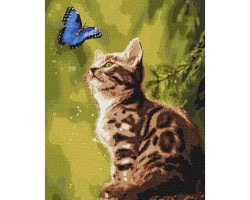 Картина по номерам Загадочная бабочка 40х50 Идейка (KHO4150)