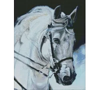 Алмазна мозаїка Гордий кінь 40х50 Ідейка (AMO7394)