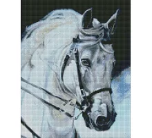 Алмазная мозаика Гордый конь 40х50 Идейка (AMO7394)