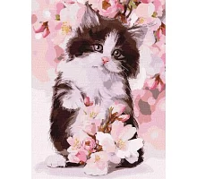 Картина по номерам Пушистый котенок Идейка 30х40 (KHO4383)