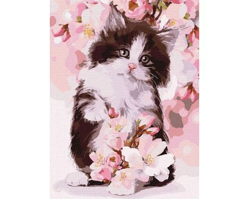 Картина за номерами Пухнасте кошеня Ідейка 30х40 (KHO4383)