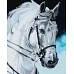 Картина за номерами Гордий кінь Ідейка 40х50 (KHO4387)