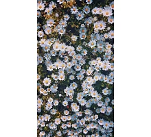 Алмазна мозаїка Ромашкове поле на підрамнику 30*40 см (Y0039)
