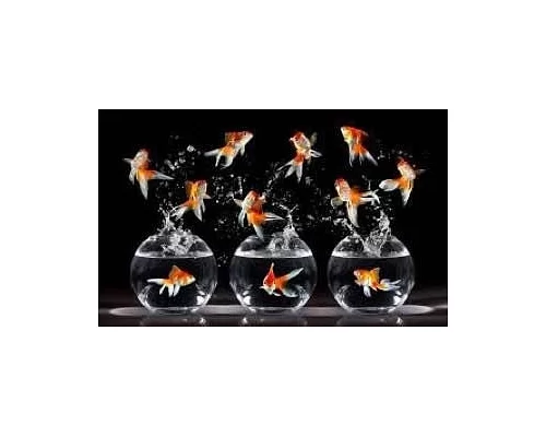 Алмазная мозаика Золотые рыбки на подрамнике 30*40см  (Y0031)
