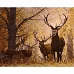 Картина за номерами Олені в осінньому лісі розміром 40х50 см Strateg (VA-3245)