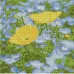 Алмазна мозаїка Жовто-блакитне поле розміром 30х30 см Strateg (CA-0040)