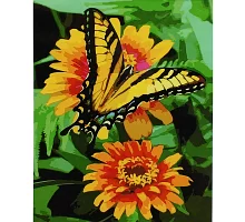 Картина за номерами Метелик на цинії з лаком та рівнем розміром 40х50 см Strateg (SY6911)