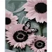 Картина за номерами Рожеві соняшники розміром 40х50 см Strateg (SY6838)