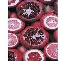 Картина за номерами Гранат та грейпфрут розміром 40х50 см Strateg (SY6846)