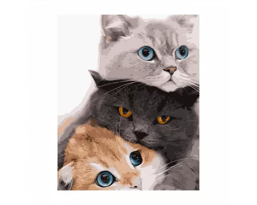 Картина за номерами  Три котика розміром 40х50 см Strateg (VA-2834)