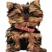 Картина за номерами  Серйозний собака розміром 30х40 см Strateg (SS-6420)