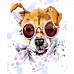 Картина за номерами  Собака в окулярах розміром 30х40 см Strateg (SS-6423)
