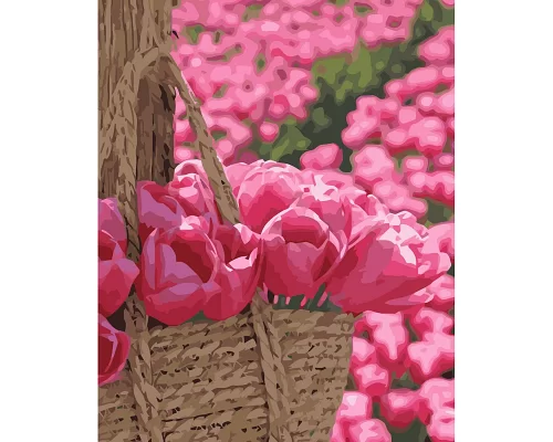 Картина за номерами  Рожеві тюльпани розміром 40х50 см Strateg (VA-3664)