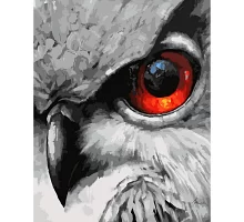 Картина за номерами  Око сови розміром 40х50 см Strateg (SY6658)