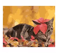 Картина за номерами  Котик з листочком розміром 40х50 см Strateg (SY6728)