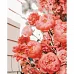 Картина за номерами ПРЕМІУМ Чудові троянди з лаком та рівнем розміром 30х40 см Strateg (SS-6596)