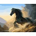 Картина за номерами  Чорний кінь розміром 40х50 см Strateg (GS308)