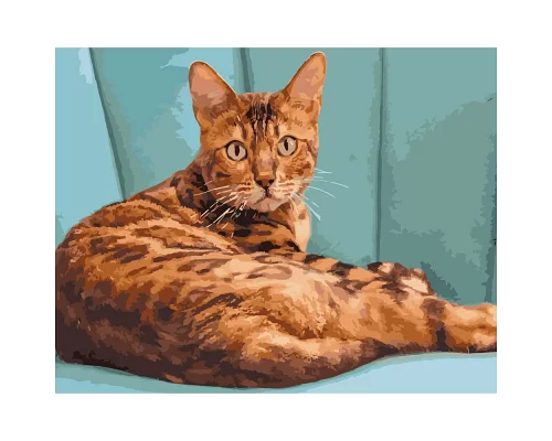 Картина за номерами Леопардова кішка розміром 40х50 см Strateg (GS252)