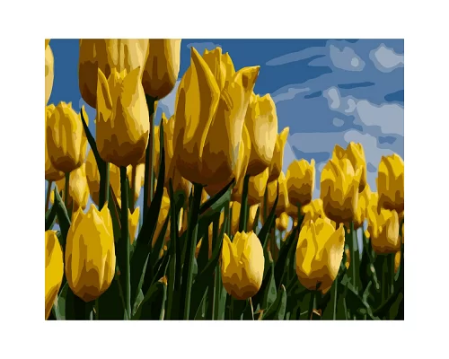 Картина за номерами ПРЕМІУМ Поле жовтих тюльпанів розміром 40х50 см Strateg (GS260)