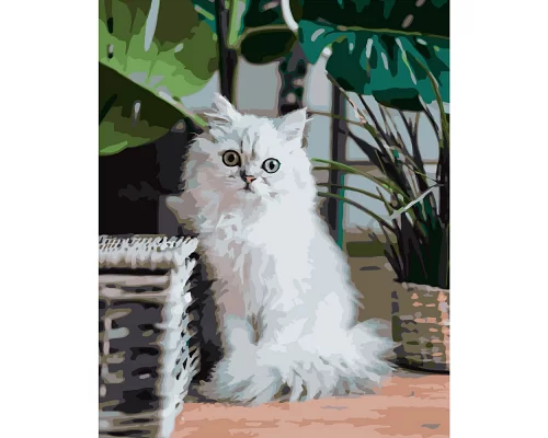 Картина за номерами  Пухнастий котик розміром 40х50 см Strateg (GS211)