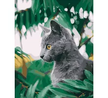 Картина за номерами Сіреньке кошеня розміром 40х50 см Strateg (GS227)