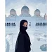 Картина за номерами ПРЕМІУМ Красуня в Абу-Дабі розміром 40х50 см Strateg (GS221)