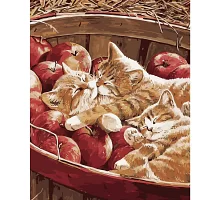 Картина за номерами Кошенята в яблуках розміром 40х50 см Strateg (GS147)