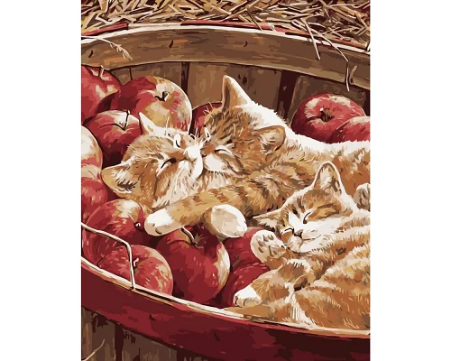 Картина за номерами Кошенята в яблуках розміром 40х50 см Strateg (GS147)