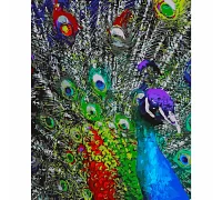 Картина за номерами Різнобарвне пір'я павлина розміром 40х50 см Strateg (GS171)