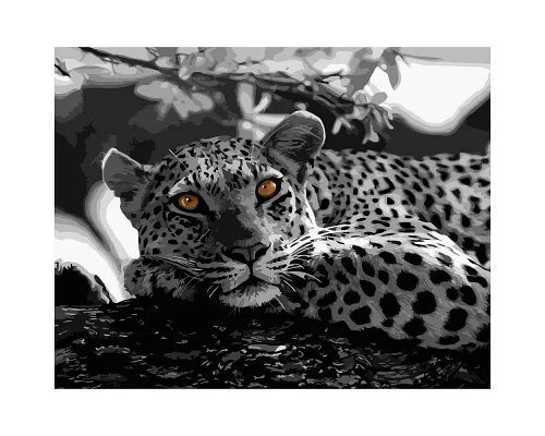 Картина за номерами  Чорно-білий леопард розміром 40х50 см Strateg (GS051)