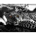 Картина за номерами ПРЕМІУМ Чорно-білий леопард розміром 40х50 см Strateg (GS051)