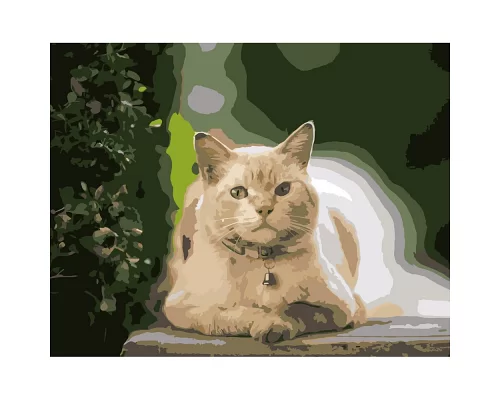 Картина за номерами ПРЕМІУМ Кіт на відпочинку розміром 40х50 см Strateg (DY182)