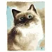 Картина за номерами ПРЕМІУМ Дивовижна кішка розміром 40х50 см Strateg (DY180)