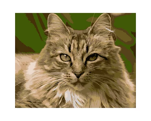 Картина за номерами ПРЕМІУМ Горда кішка розміром 40х50 см Strateg (DY186)