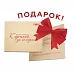 Картина за номерами ПРЕМІУМ Ікона Микола Чутотворець з лаком та рівнем розміром 40х50 см Strateg (SY6666)