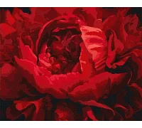 Картина по номерам Изысканный цветок 40х50 Идейка (KHO3121)