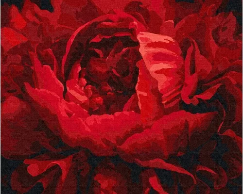 Картина за номерами Вишукана квітка KHO3121 Ідейка (KHO3121)