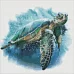 Алмазна мозаїка - Блакитна черепаха 40х40 Ідейка (AMO7430)
