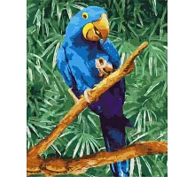 Картина по номерам Синий попугай 40х50 Идейка (KHO4487)