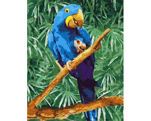 Картина по номерам Синий попугай 40х50 Идейка (KHO4487)