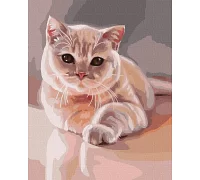 Картина по номерам Любимый пушистый котик 40х50 Идейка (KHO4489)