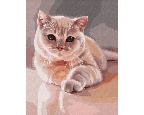 Картина по номерам Любимый пушистый котик 40х50 Идейка (KHO4489)