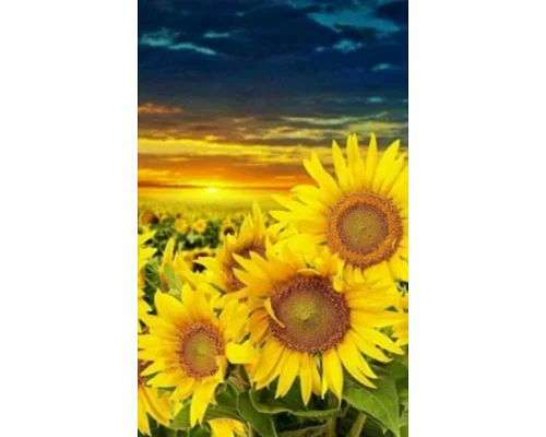 Алмазна мозаїка Патріотична Сонячна квітка 30*40 см з рамкою (Y0085)