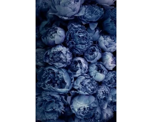 Алмазна мозаїка Сині троянди 30*40 см з рамкою (Y0043)