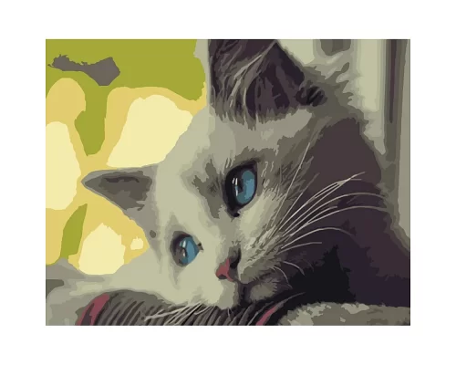 Картина за номерами Невинный взгляд котенка 40х50 см Strateg (DY176)