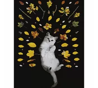 Картина за номерами Осенний котик 40х50 см Strateg (DY062)