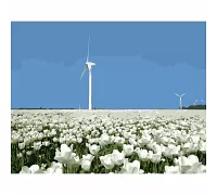 Картина за номерами Вітрильник у полі квітів 40х50 см Strateg (DY089)